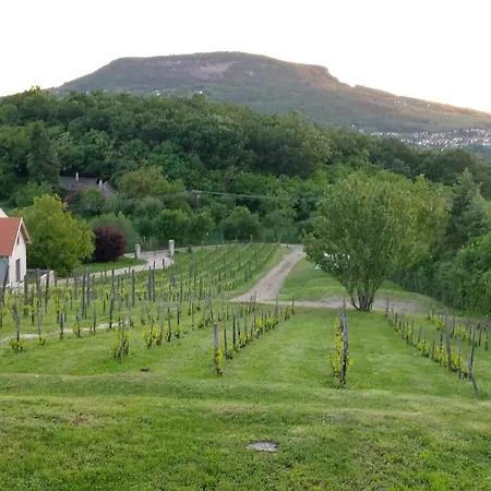 Nyaraló 100 éves Présház *