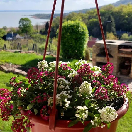 100 éves Présház *