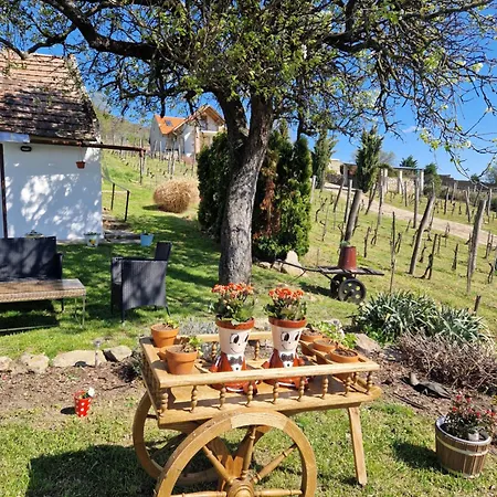 100 éves Présház * Badacsonyörs