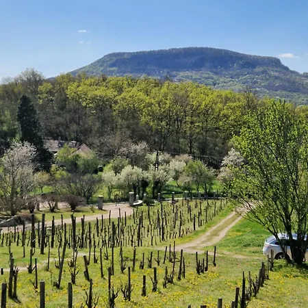 100 éves Présház * Badacsonyörs